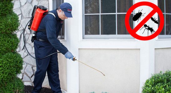 Karakoyunlu Dezenfeksiyon böcek ilaçlama ve haşere kontrolü — ilaclama-tr.com